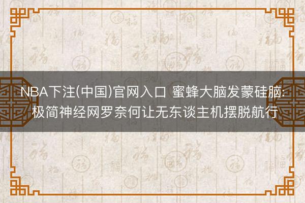 NBA下注(中国)官网入口 蜜蜂大脑发蒙硅脑: 极简神经网罗奈何让无东谈主机摆脱航行