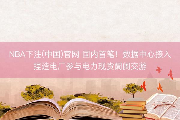 NBA下注(中国)官网 国内首笔！数据中心接入捏造电厂参与电力现货阛阓交游