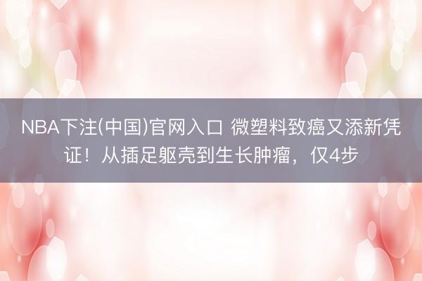 NBA下注(中国)官网入口 微塑料致癌又添新凭证！从插足躯壳到生长肿瘤，仅4步