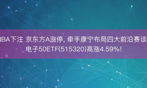 NBA下注 京东方A涨停， 牵手康宁布局四大前沿赛谈， 电子50ETF(515320)高涨4.59%!