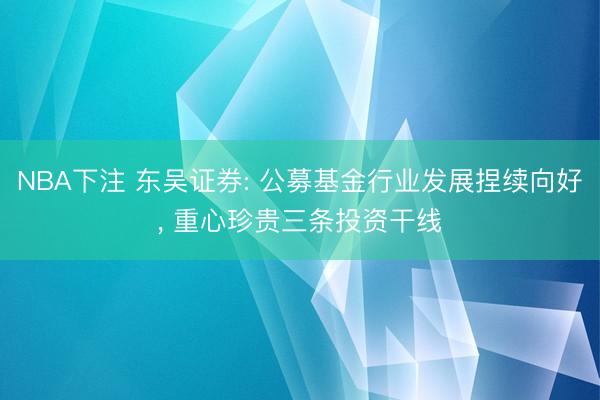 NBA下注 东吴证券: 公募基金行业发展捏续向好， 重心珍贵三条投资干线