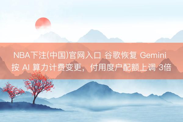 NBA下注(中国)官网入口 谷歌恢复 Gemini 按 AI 算力计费变更，付用度户配额上调 3倍