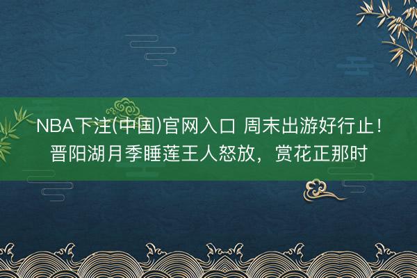 NBA下注(中国)官网入口 周末出游好行止！晋阳湖月季睡莲王人怒放，赏花正那时