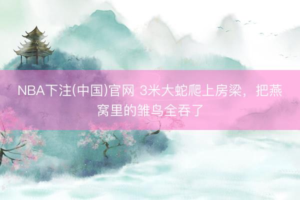 NBA下注(中国)官网 3米大蛇爬上房梁，把燕窝里的雏鸟全吞了