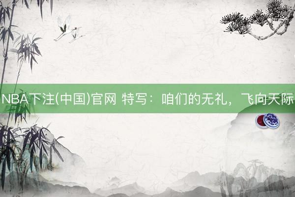 NBA下注(中国)官网 特写:咱们的无礼,飞向天际
