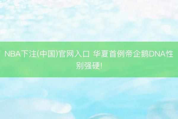 NBA下注(中国)官网入口 华夏首例帝企鹅DNA性别强硬!