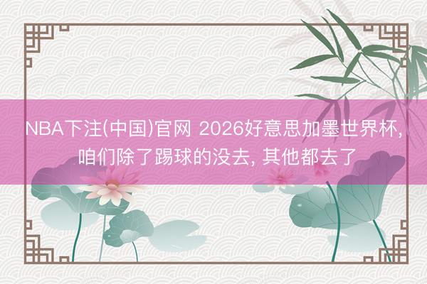 NBA下注(中国)官网 2026好意思加墨世界杯， 咱们除了踢球的没去， 其他都去了
