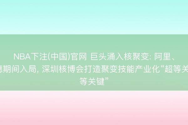 NBA下注(中国)官网 巨头涌入核聚变: 阿里、宁德期间入局， 深圳核博会打造聚变技能产业化“超等关键”