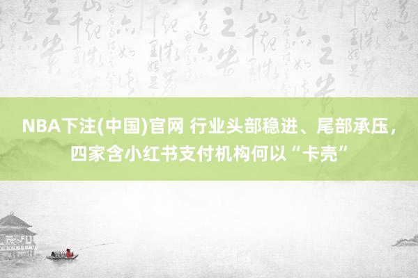 NBA下注(中国)官网 行业头部稳进、尾部承压，四家含小红书支付机构何以“卡壳”